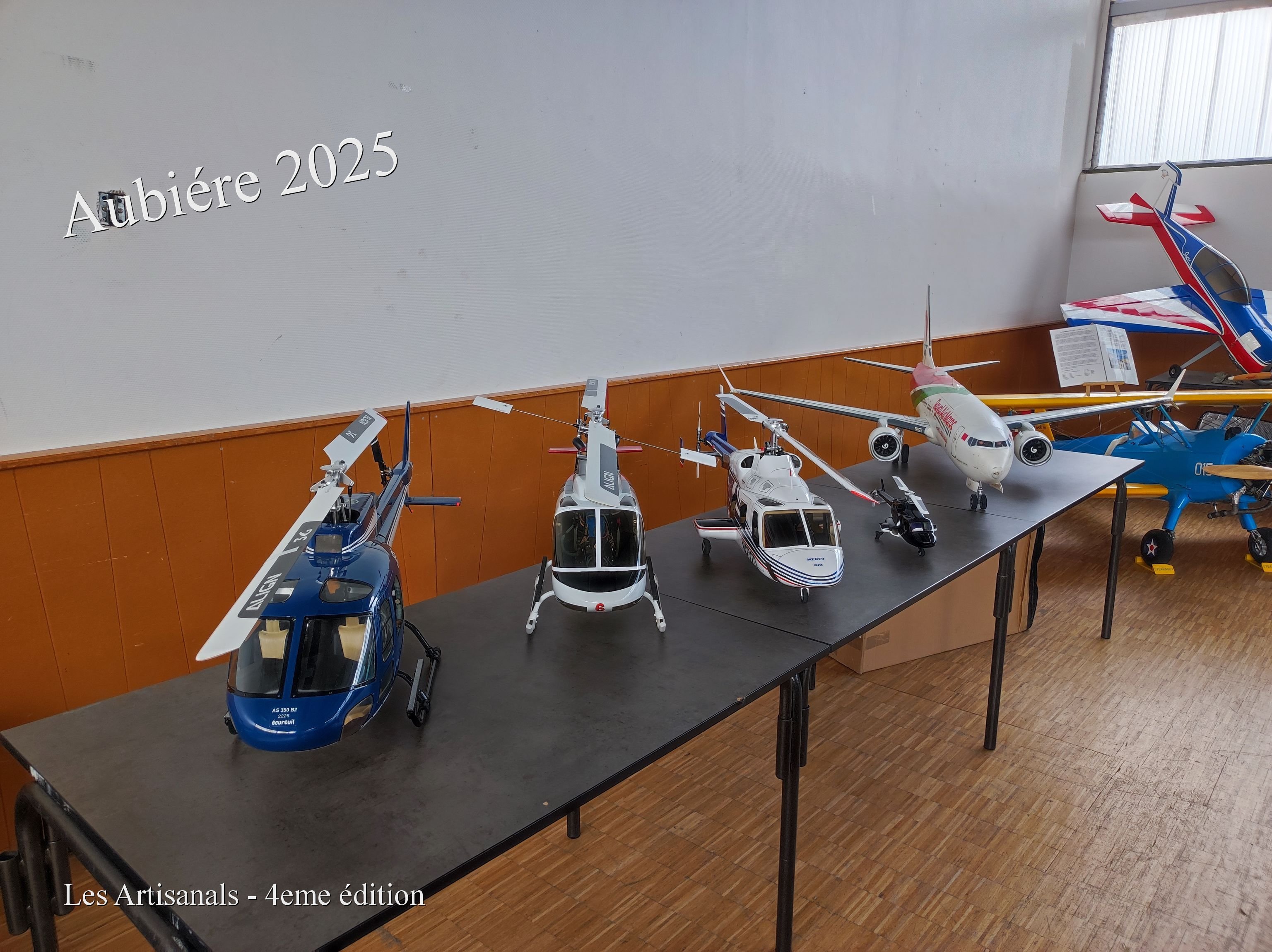 Artisanales modelisme Avion.jpg